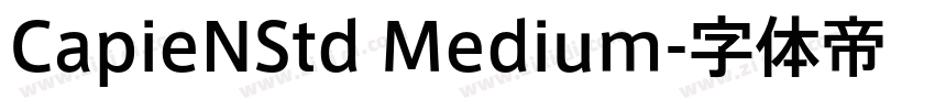 CapieNStd Medium字体转换